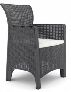 Sillón ILEÓN, polipropileno antracita, cojín beige