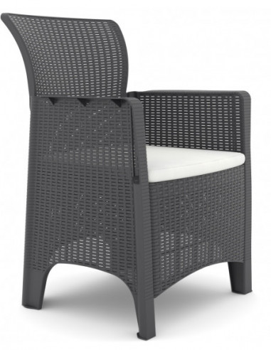 Sillón ILEÓN, polipropileno antracita, cojín beige