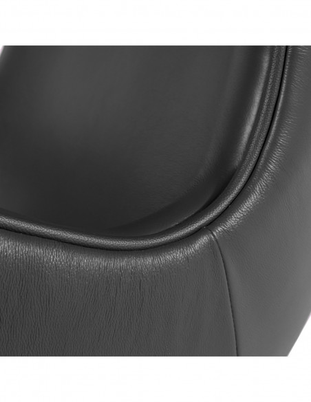 Sillón EG (TE), fibra de vidrio, basculante, tapizado similpiel negra